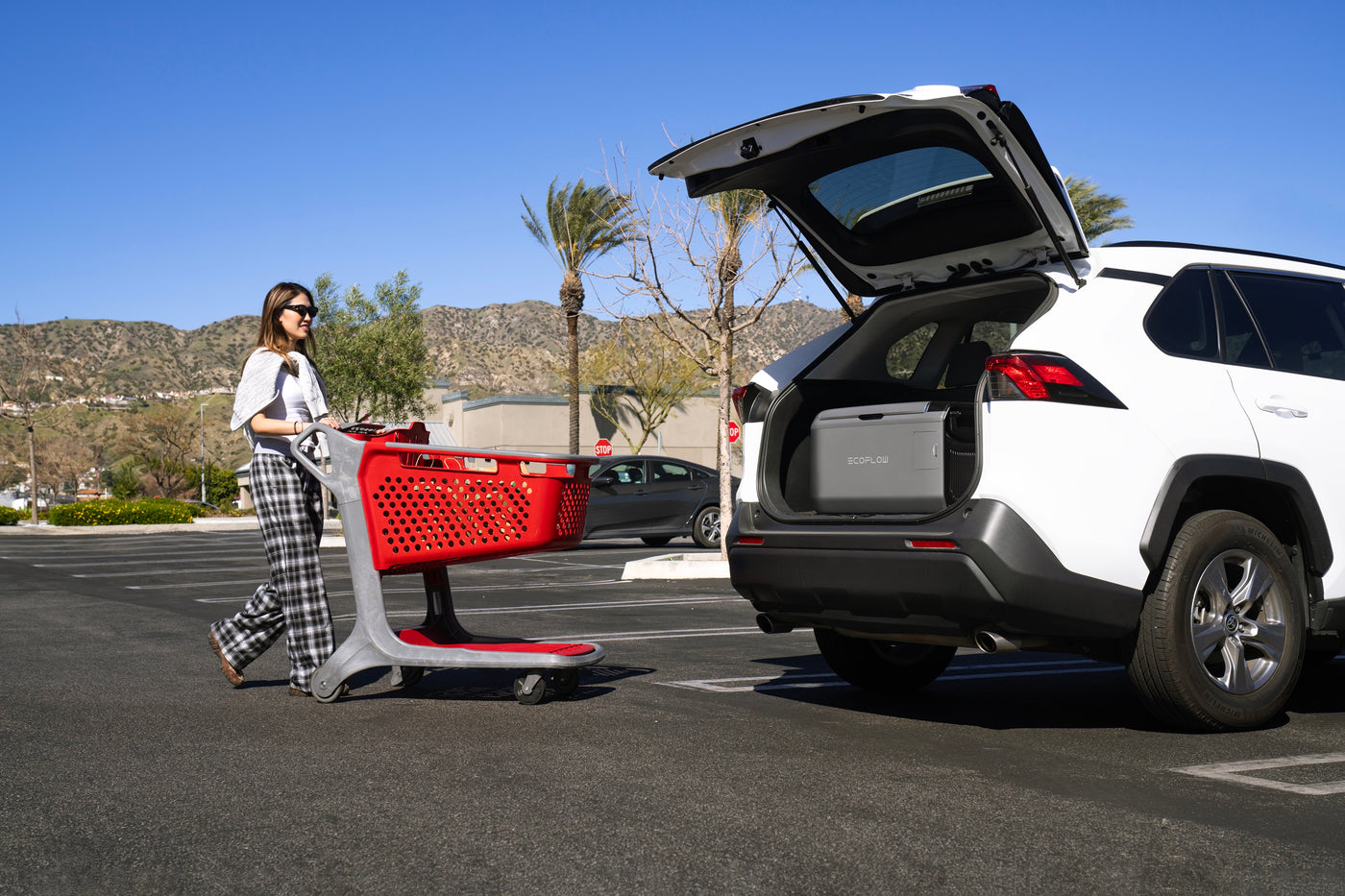 EcoFlow GLACIER Classic Portable Fridge Freezer Grocery Runs