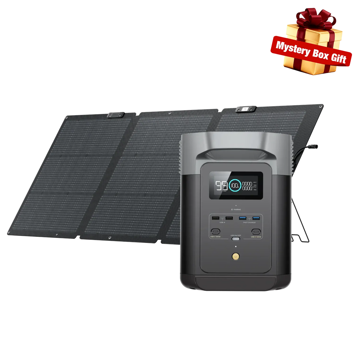EcoFlow Delta 2 + 160W Solar Panel Bi-facial