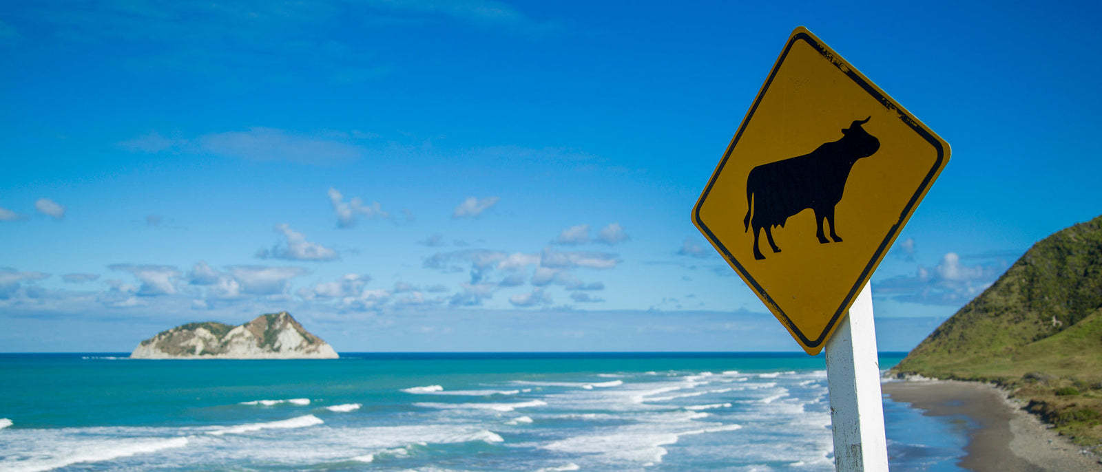 New Zealand Road Trips