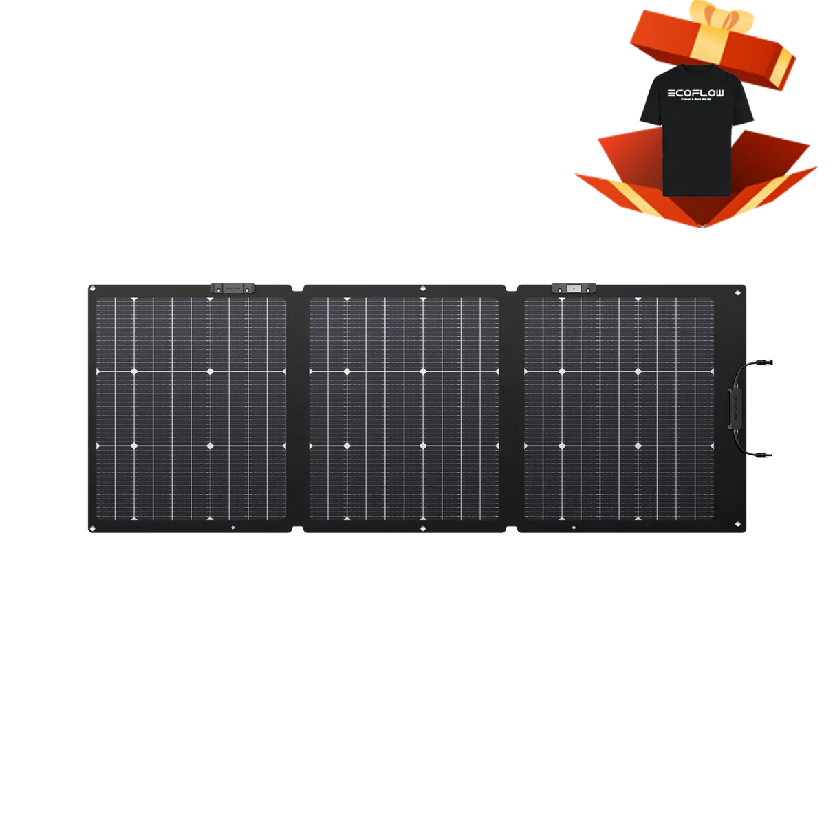 EcoFlow RIVER 2 Pro power station + 160W Solar Panel Bi-facial