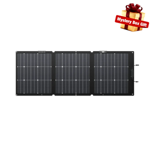 EcoFlow NextGen 160W Bifacial Solar Panel