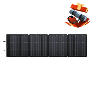 EcoFlow NextGen 220W Bifacial Portable Solar Panel