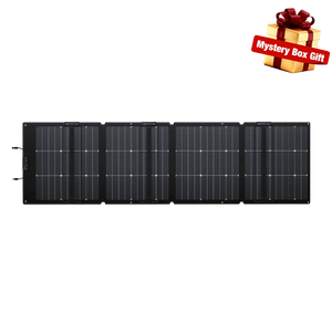 EcoFlow NextGen 220W Bifacial Portable Solar Panel