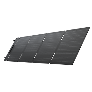 EcoFlow 60W Portable Solar Panel Type-C