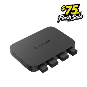 500W Alternator Charger