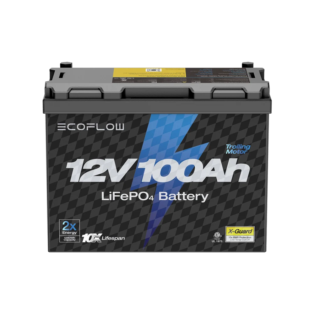 EcoFlow Lithium 12V 100Ah Deep Cycle LiFePO4 Battery - EcoFlow New Zealand