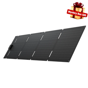 EcoFlow 60W Portable Solar Panel Type-C