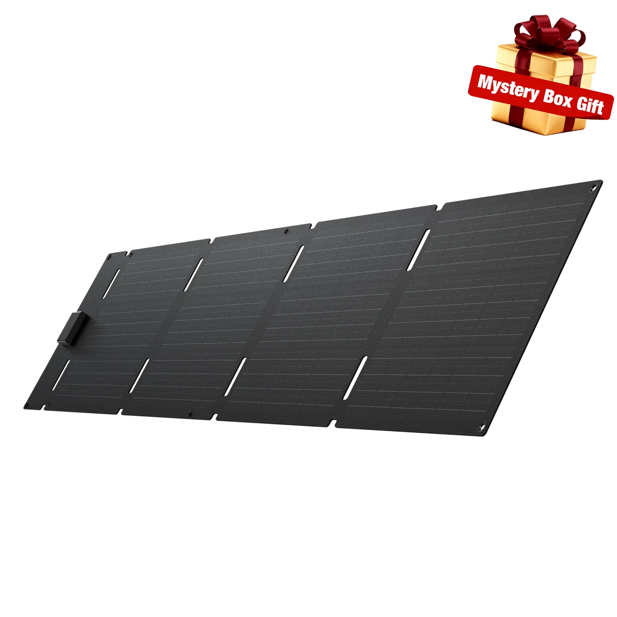 EcoFlow 60W Portable Solar Panel Type-C