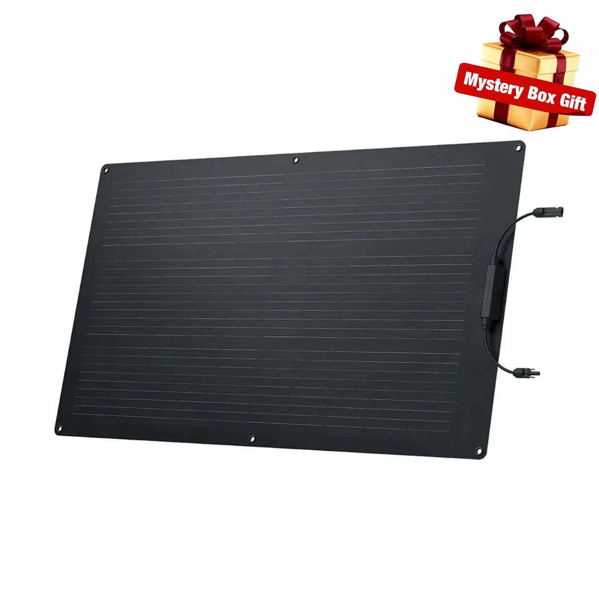 Ecoflow 100W Flexible Solar Panel