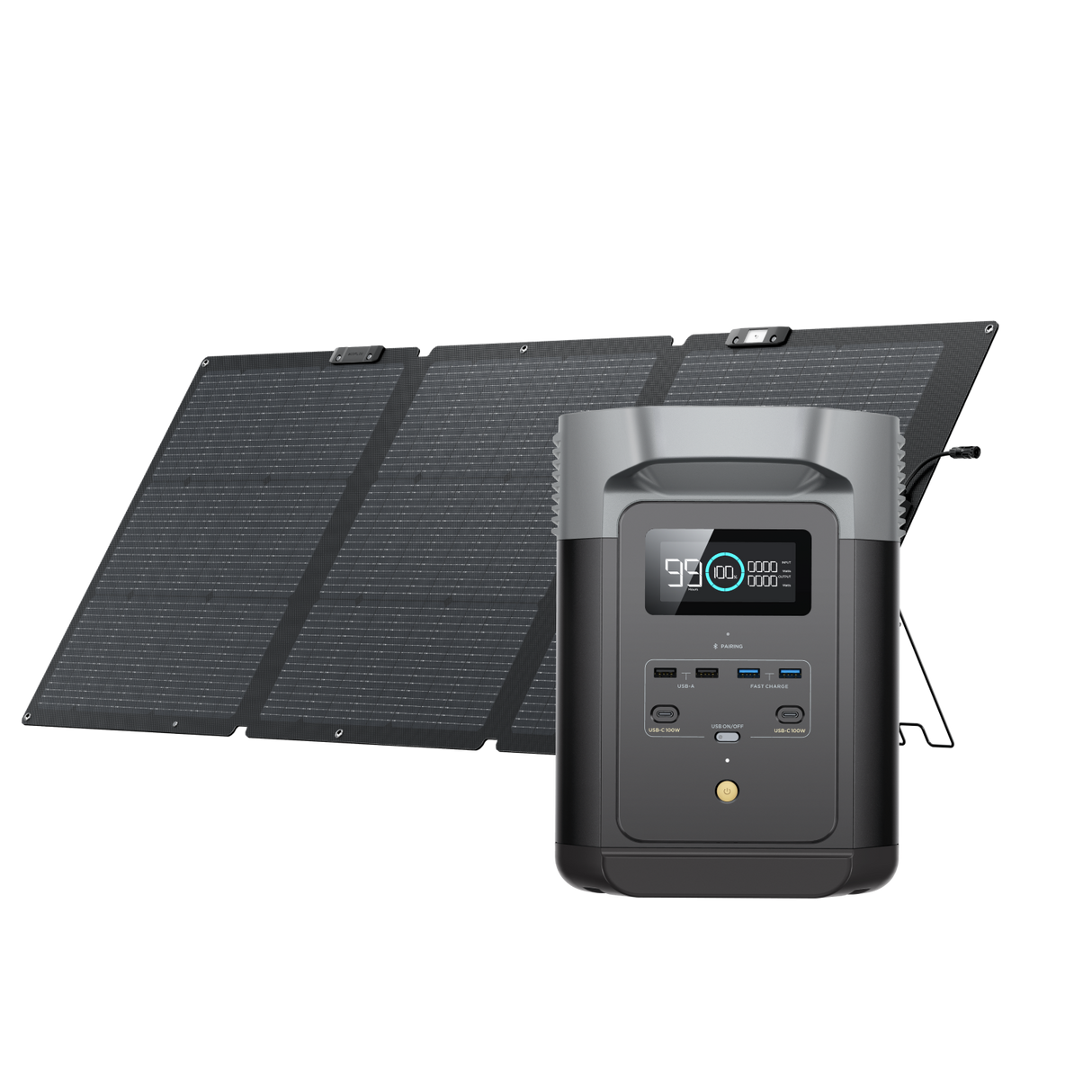 EcoFlow Delta 2 + 160W Solar Panel Bi-facial